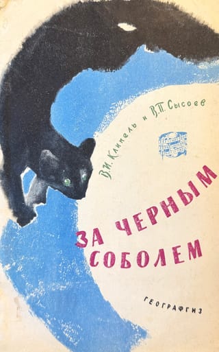 За черным соболем