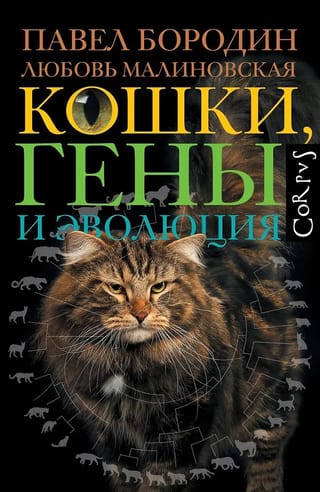 Кошки, гены и эволюция