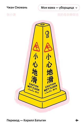 My mother is a cleaner