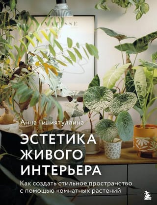 Эстетика живого интерьера. Как создать стильное пространство с помощью комнатных растений
