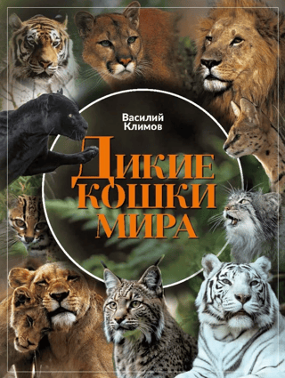 Savvaļas kaķi pasaulē