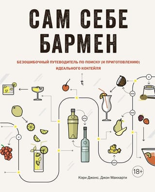 Сам себе бармен. Безошибочный путеводитель по поиску (и приготовлению) идеального коктейля