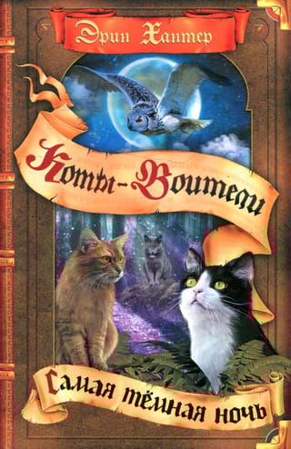 Видение теней. Книга 4. Самая темная ночь