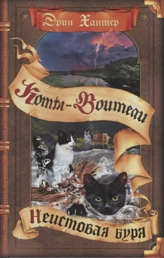 Видение теней. Книга 6. Неистовая буря