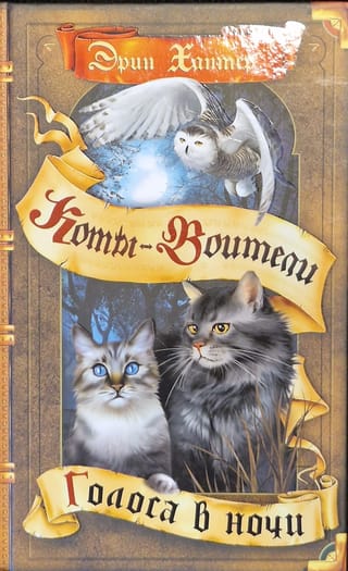 Знамение звезд. Книга 3. Голоса в ночи