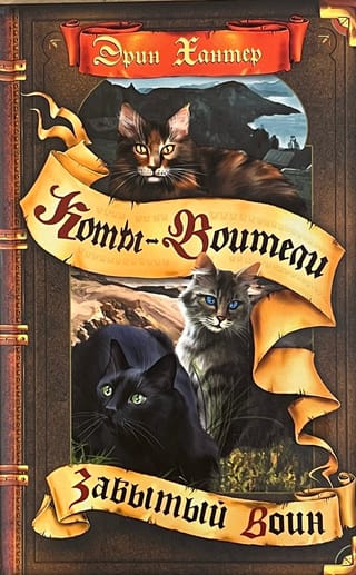 Знамение  звезд. Книга 5. Забытый воин