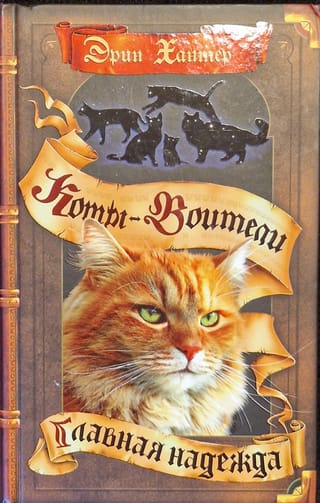 Знамение  звезд. Книга 6. Главная надежда