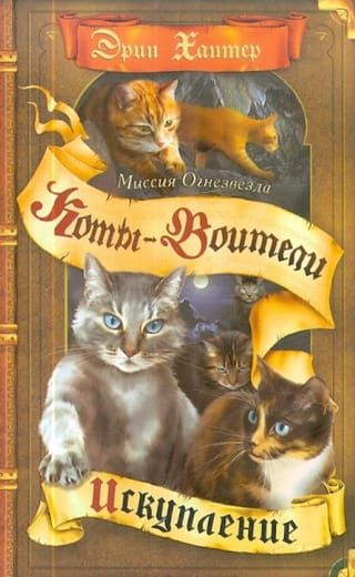 Миссия Огнезвезда. Книга 1. Искупление