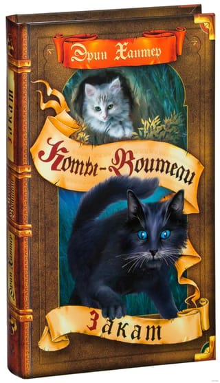 Новое пророчество. Книга 6. Закат