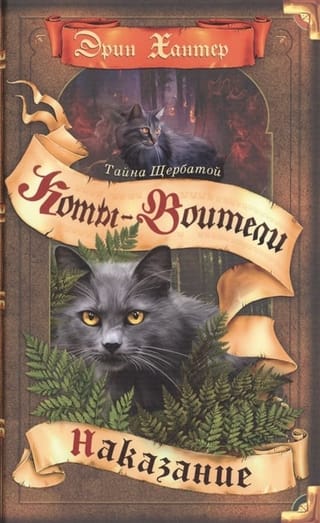 Тайна Щербатой. Книга 2. Наказание