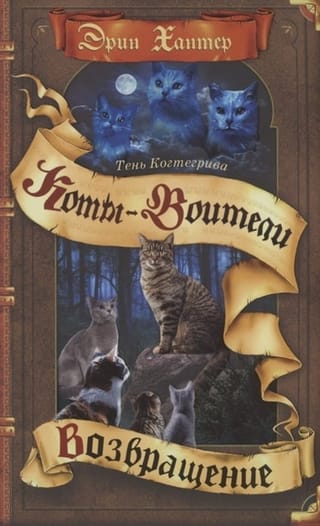 Тень Когтегрива. Книга 2. Возвращение