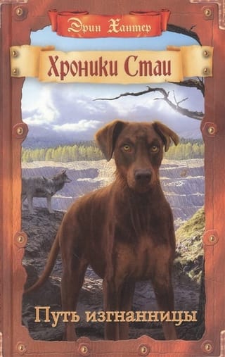 Хроники Стаи. Книга 5. Путь изгнанницы