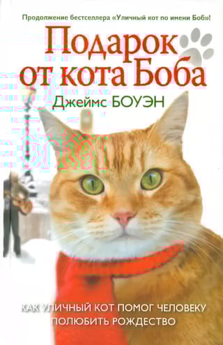 Подарок от кота Боба. Как уличный кот помог человеку полюбить Рождество