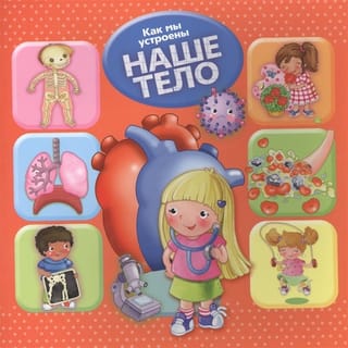 Как мы устроены. Наше тело 