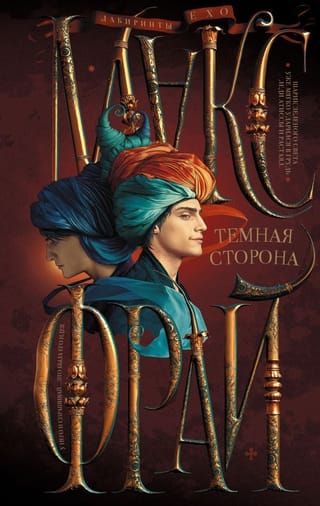 Лабиринты  Ехо. Книга 4. Темная сторона