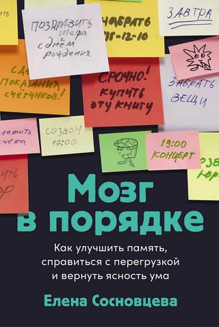 Мозг в порядке. Как улучшить память, справиться с перегрузкой и вернуть ясность ума
