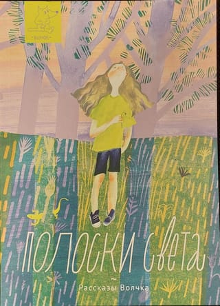 Полоски света