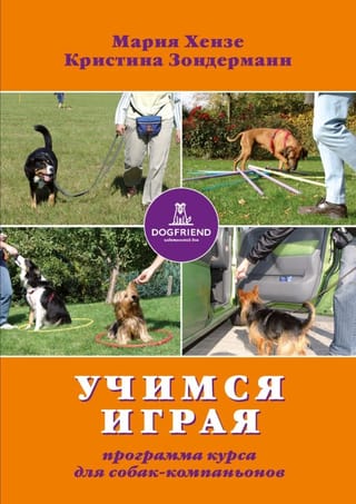 Учимся - играя.
  Программа курса для собак-компаньонов