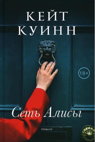 Сеть Алисы
