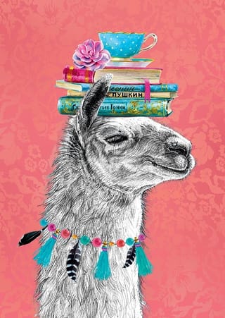 Открытка. Ученая лама