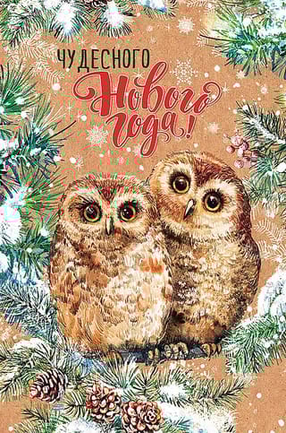 Открытка. Чудесного Нового года! Совы с еловыми шишками
