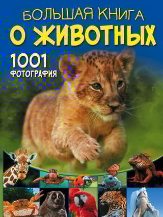 Большая книга  о животных. 1001 фотография