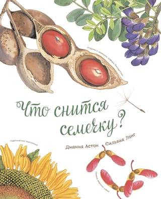 Par ko sapņo sēkla?