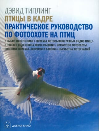 Птицы в кадре. Практическое руководство по фотоохоте на птиц