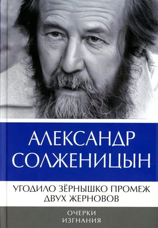 Угодило  зернышко промеж двух жерновов. Очерки изгнания