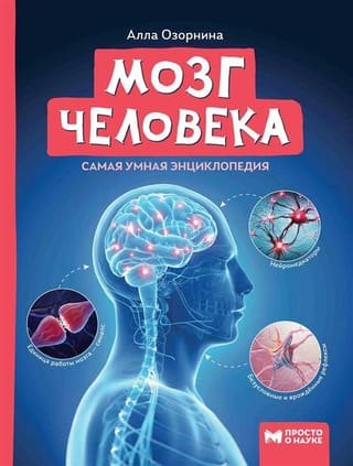 Мозг  человека. Самая умная энциклопедия