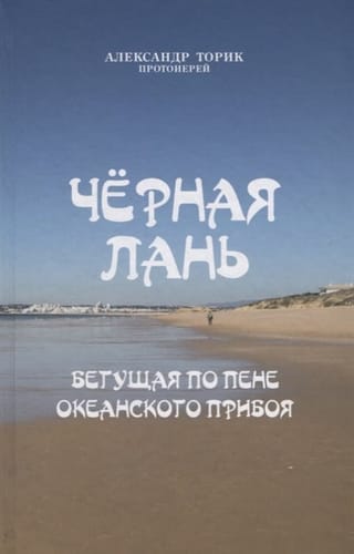 Черная лань, бегущая по пене океанского прибоя