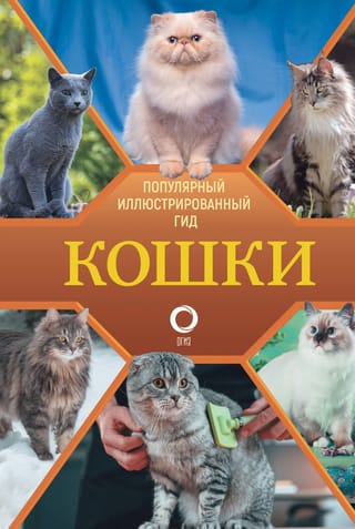 Кошки. Популярный  иллюстрированный гид
