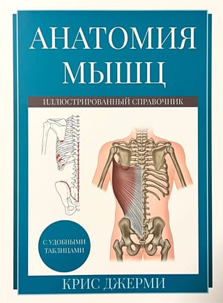 Анатомия мышц.  Иллюстрированный справочник