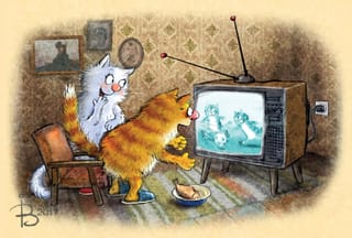 Открытка. Синие коты. Коты смотрят футбол