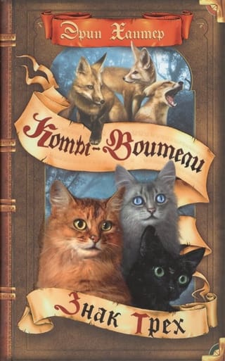 Сила трех. Книга 1.  Знак трех