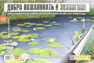 Демонстрационные картины и динамические модели для занятий с детьми 5-6 лет (старшая группа)