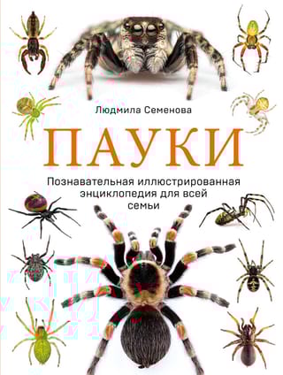 Пауки. Познавательная иллюстрированная энциклопедия для всей семьи