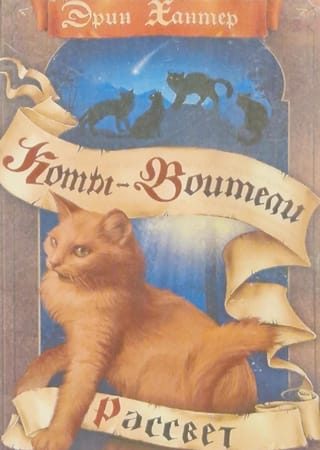 Новое пророчество.
  Книга 3. Рассвет