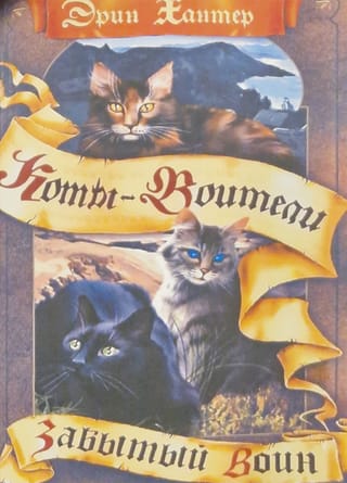 Знамение звезд. Книга
  5. Забытый воин