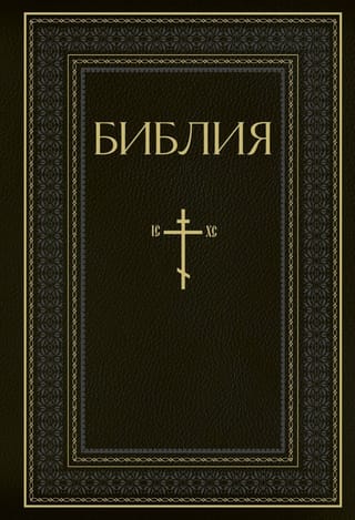 Библия. Книги Священного Писания Ветхого и Нового Завета. Полное издание с неканоническими книгами