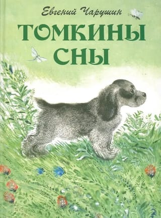 Томкины
  сны