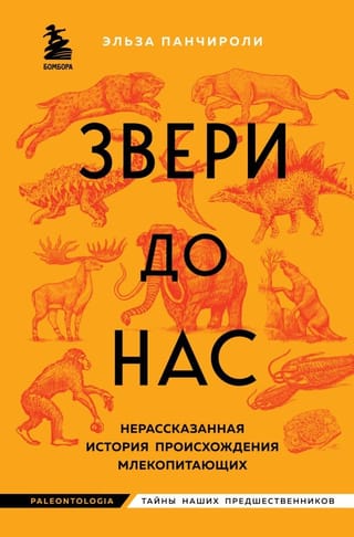 Звери до  нас. Нерассказанная история происхождения млекопитающих