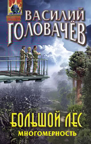 Большой  лес. Многомерность