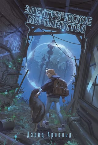 Электрическое  королевство