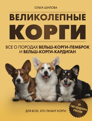 Великолепные корги.  Все о породах вельш-корги-пемброк и вельш-корги-кардиган