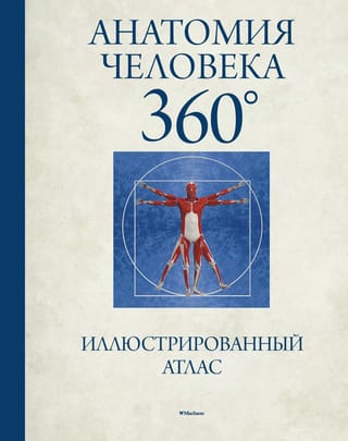 Анатомия человека  360°. Иллюстрированный атлас