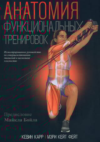 Анатомия  функциональных тренировок