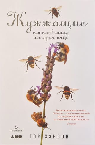 Жужжащие. Естественная история пчёл