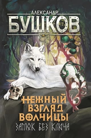 Нежный взгляд волчицы. Книга 1. Замок без ключа