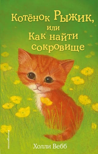 Котенок Рыжик, или Как найти сокровище